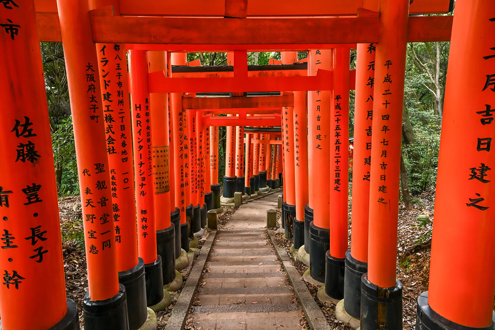 Red Japanese pillars along a long walkway