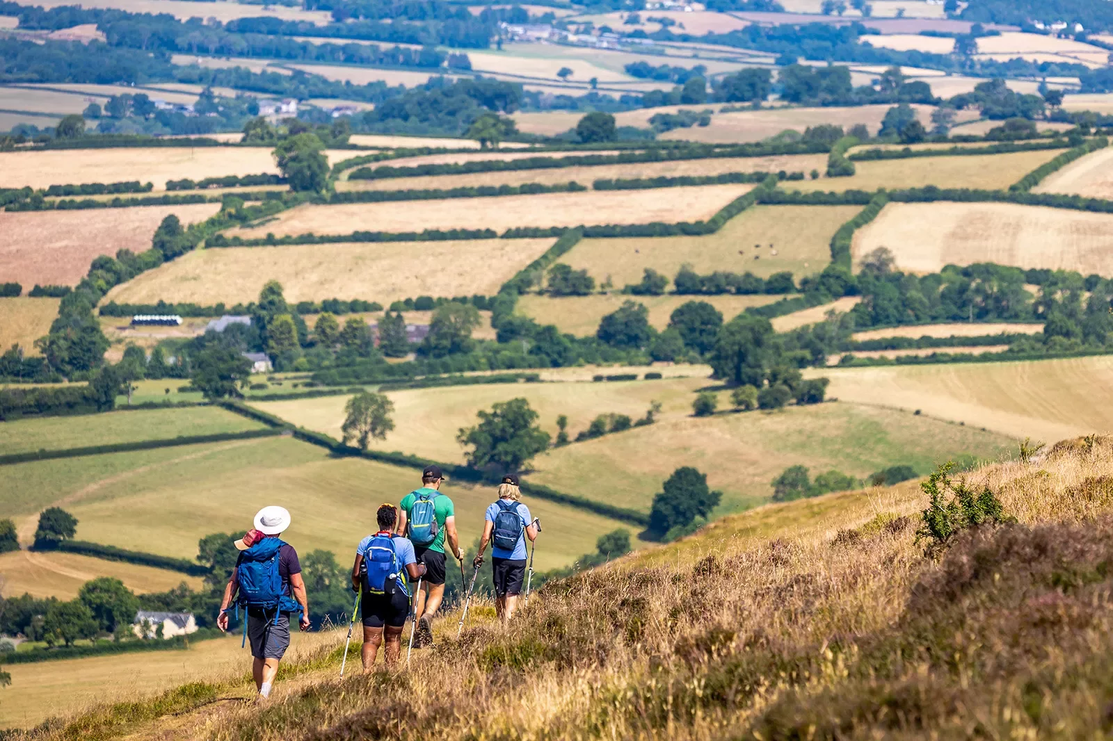 Group of people with walking poles hiking on a grassy trail