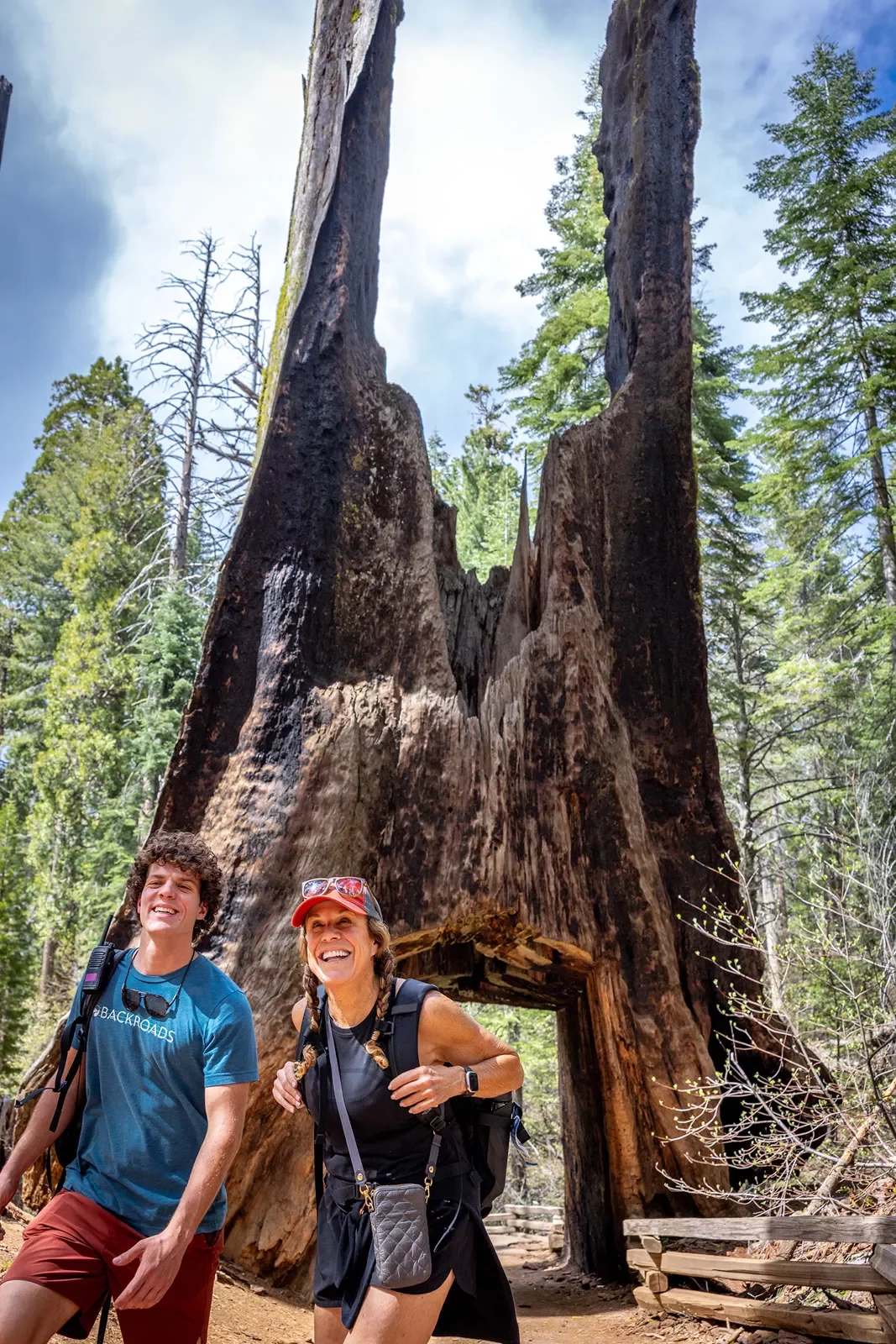 Guests pose with a large tree