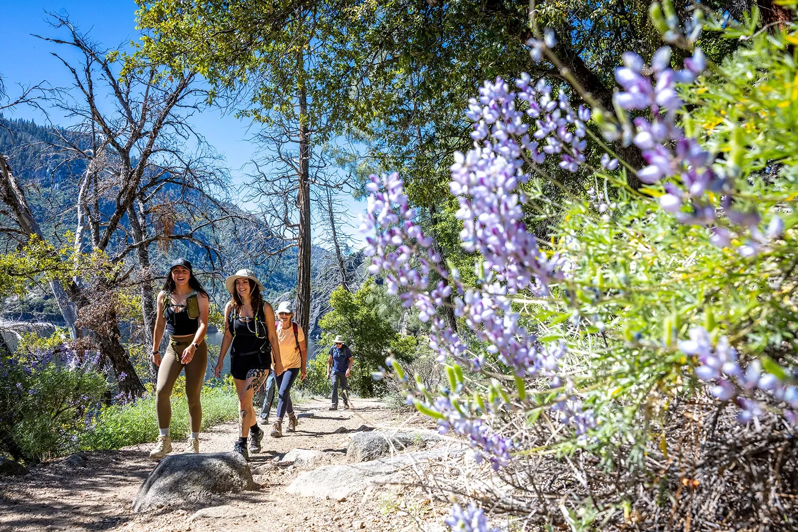 guests hike a sunny trail in yosemite