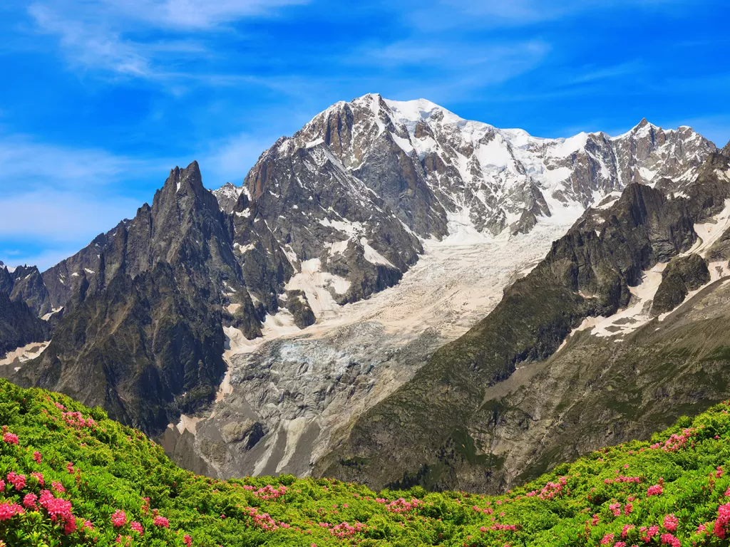 Wide shot of mountain range, greenery, small red flowers in foreground. 