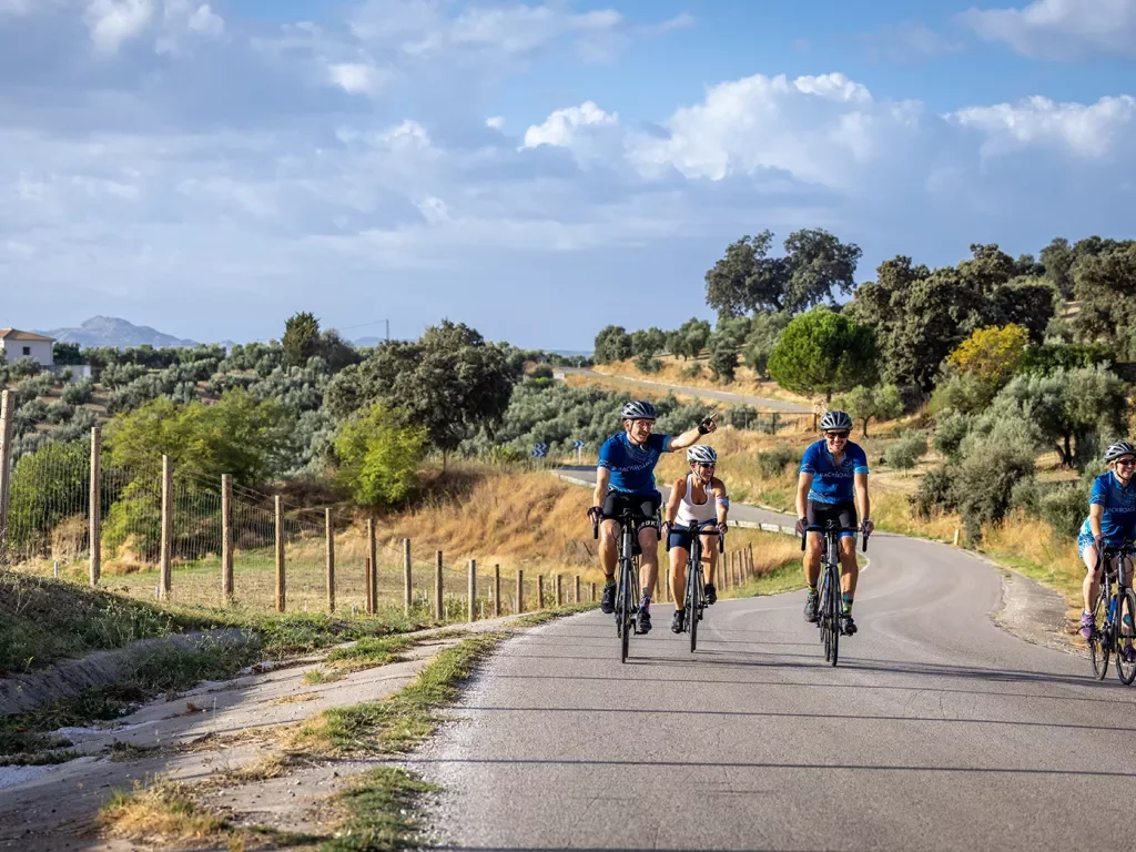 Four bikers on a road with trees behind them