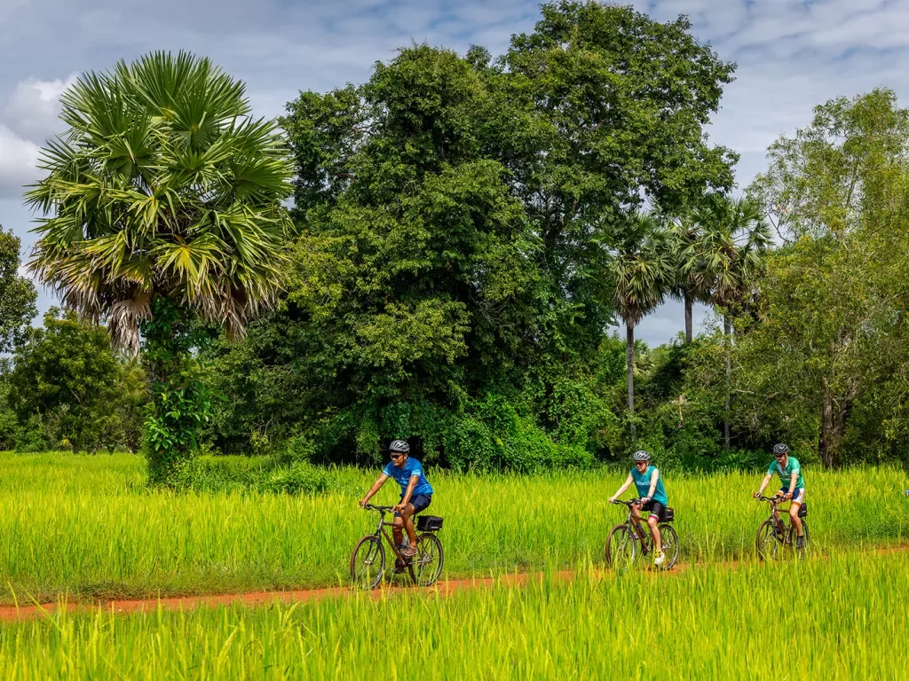cyclists ride through a grassy area