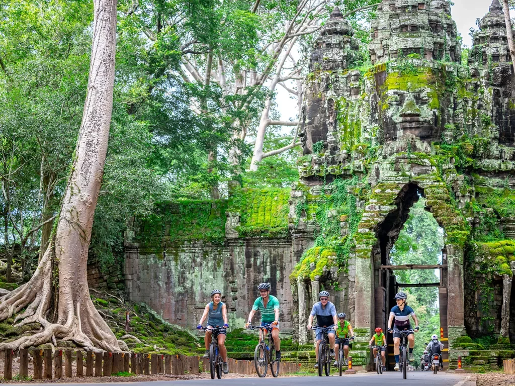 cyclists ride under a mossy stone bridge