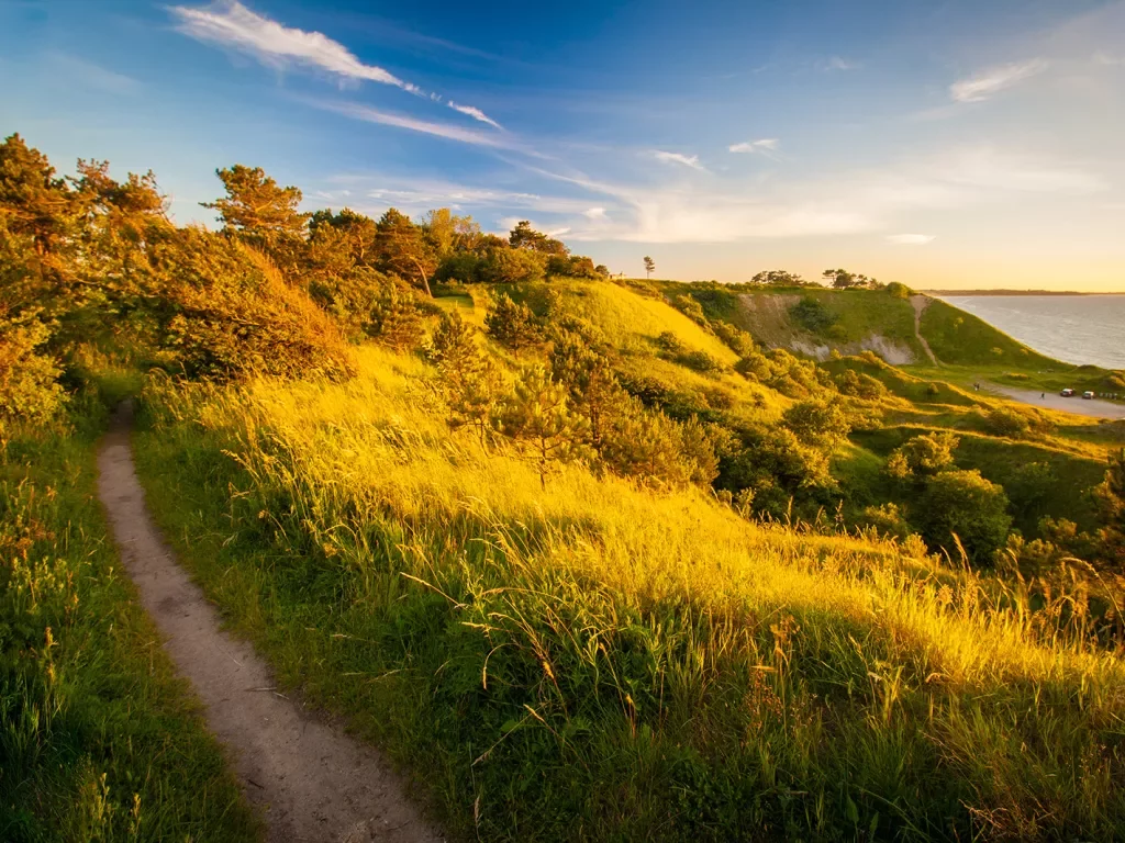 Hiking trail through tall, grassy hills and trees