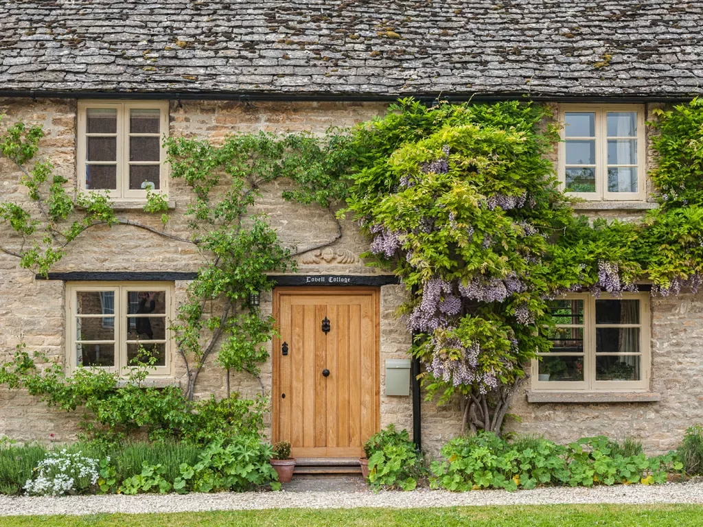 Outdoor view of a cottage with shrubs and plants outside