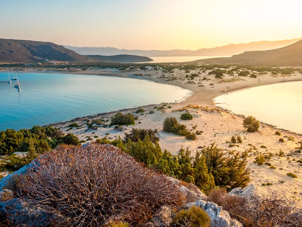 Two lakes with small shrubs and bushes in the sand