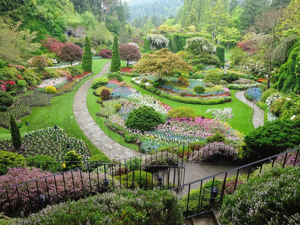 Outdoor garden full of flowers, trees and bushes