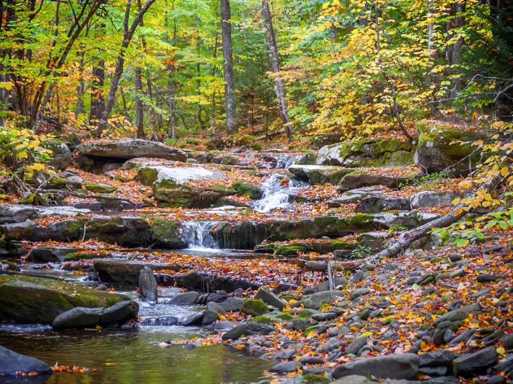 River with large rocks and leaves scattered