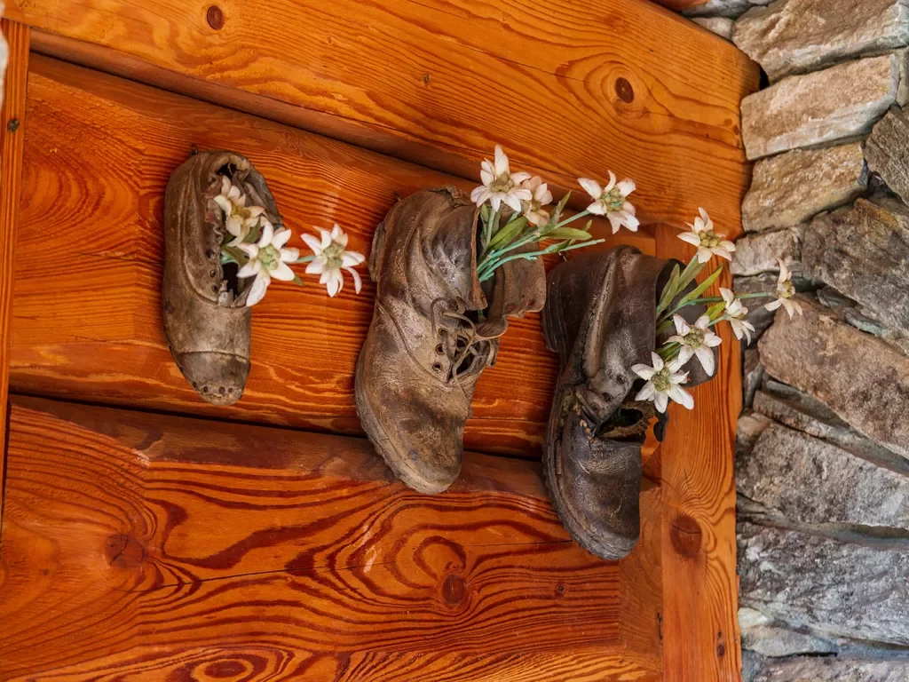 Three booths with flowers growing out of them