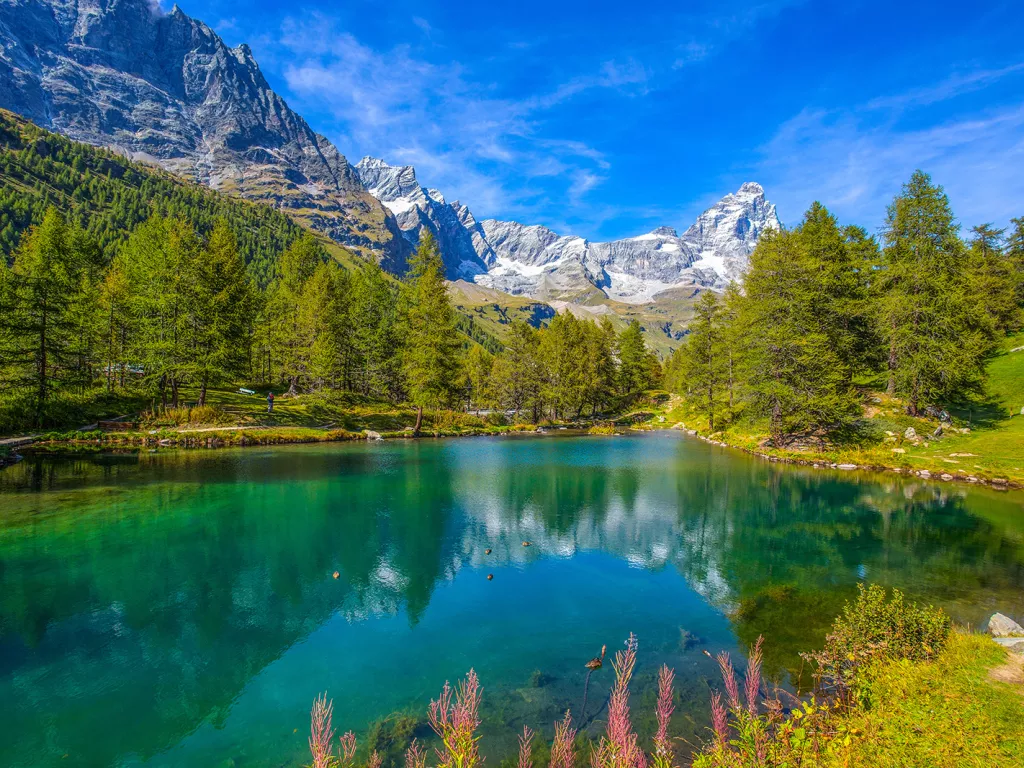 Large, blue lake surrounded by tall pine trees and mountains