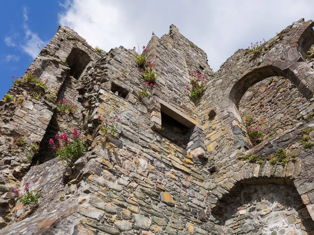 Bottom-top view of a stone building with plants and weeds coming out from the cracks