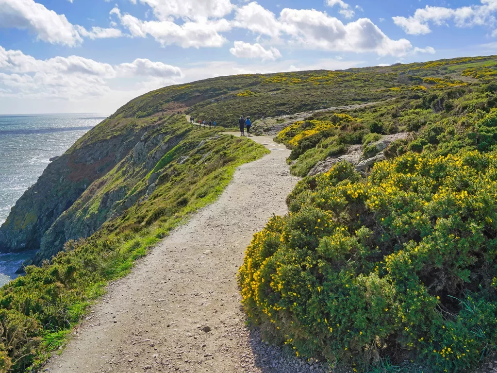 Two people walking on a gravel trail in the distance