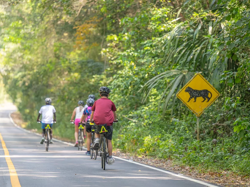 Group of bikers on the road passing by a sign of a lion