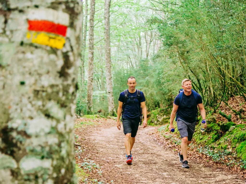 Two men hiking on a dirt trail, with a tree with a flag painted on it