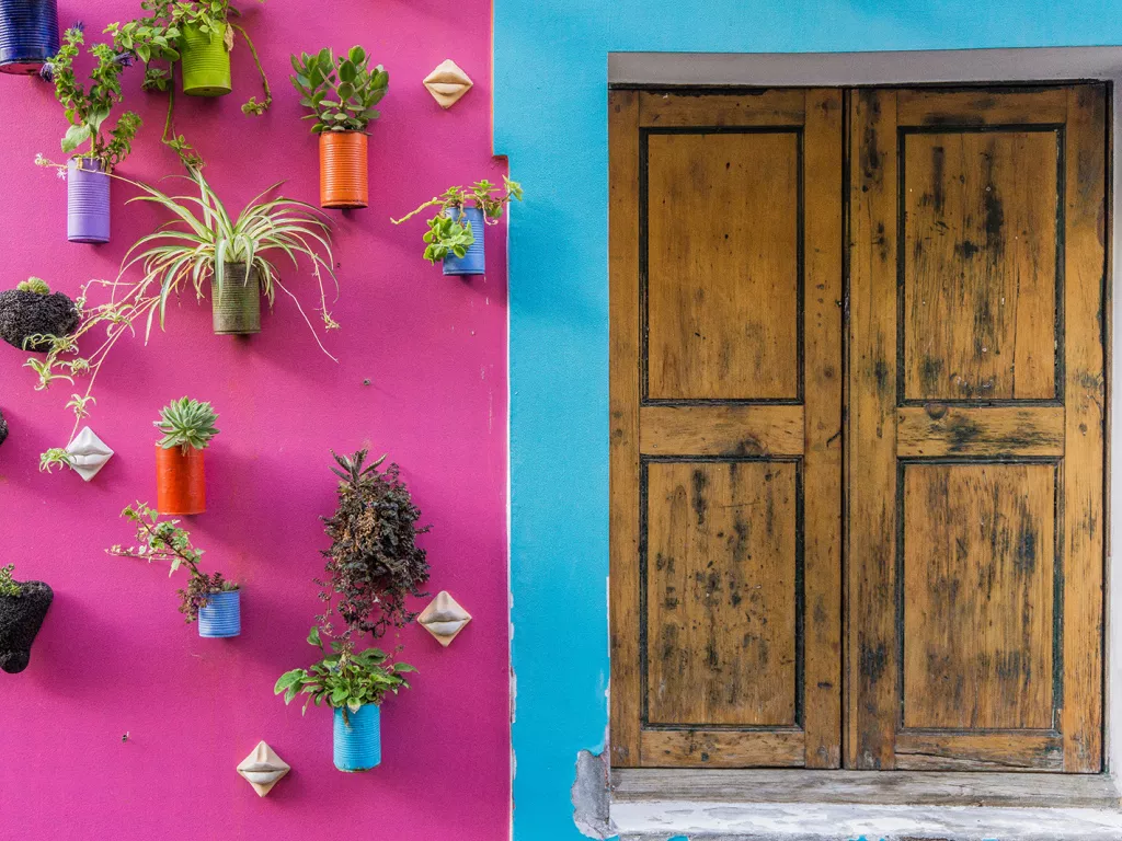 Pink and blue building with a wooden door on the right, and plants on the left