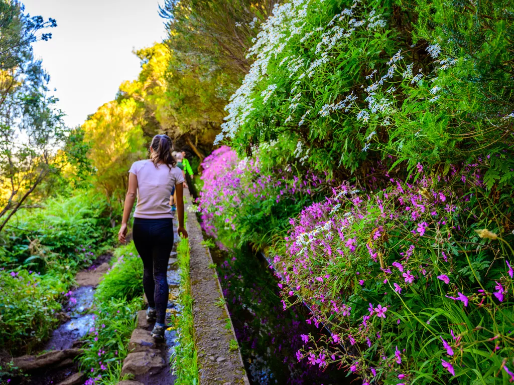 Woman walking on stones in a garden, surrounded by plants and flowers