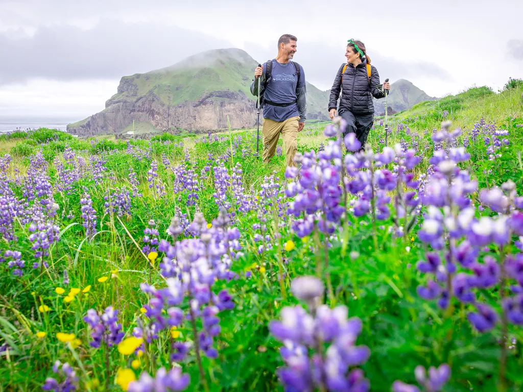 Man and woman walking through a grassy field full of purple flowers