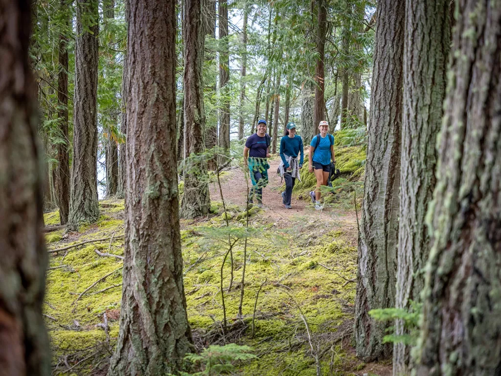 Two women and one man walking in the middle of a forest