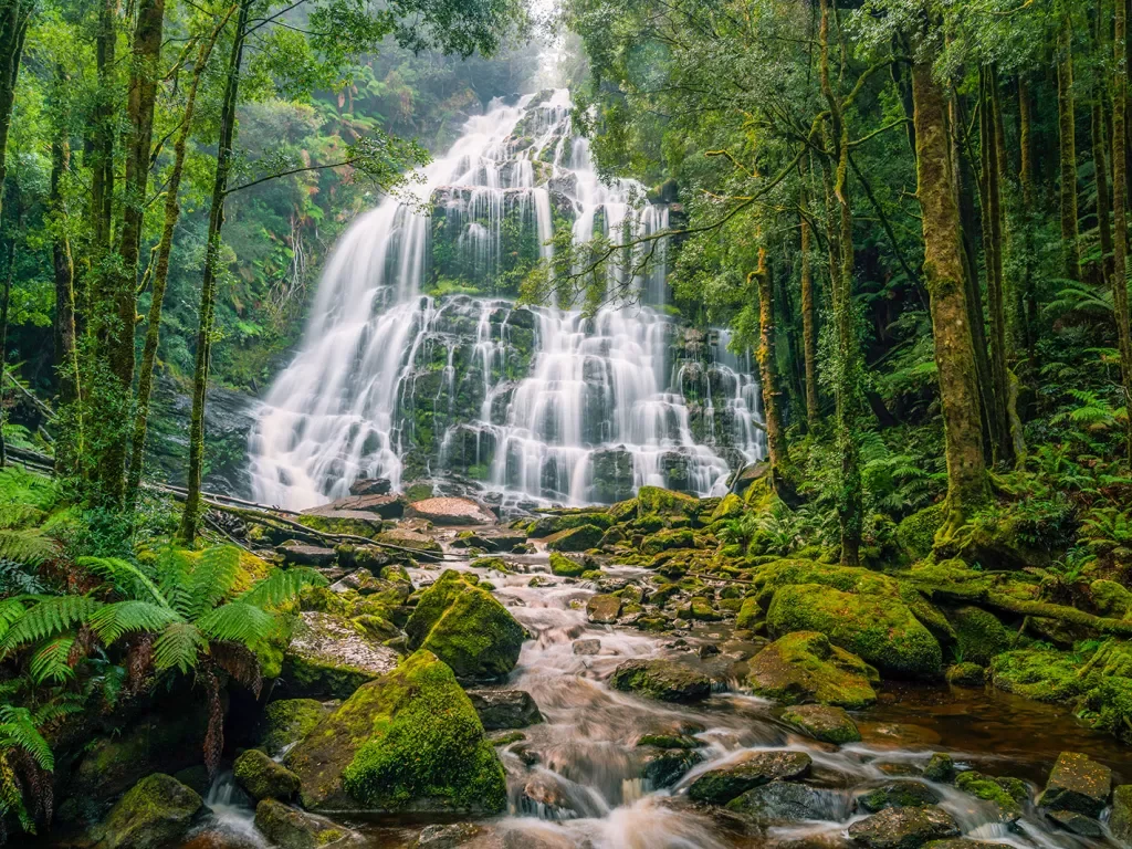 Waterfall in a green forest