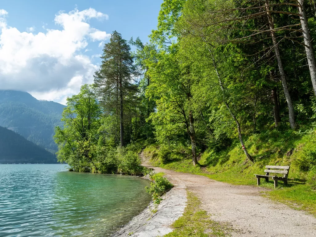 Gravel and dirt road with a bench to the right, next to a lake