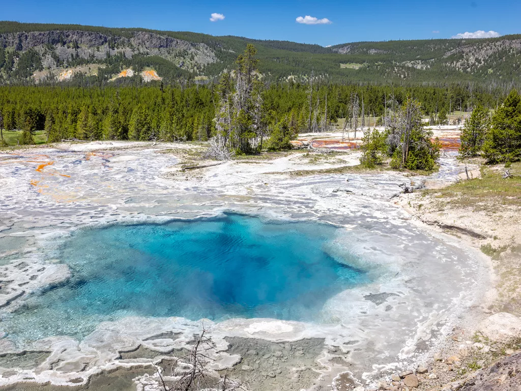 Salt-covered lake in the middle of a valley of trees