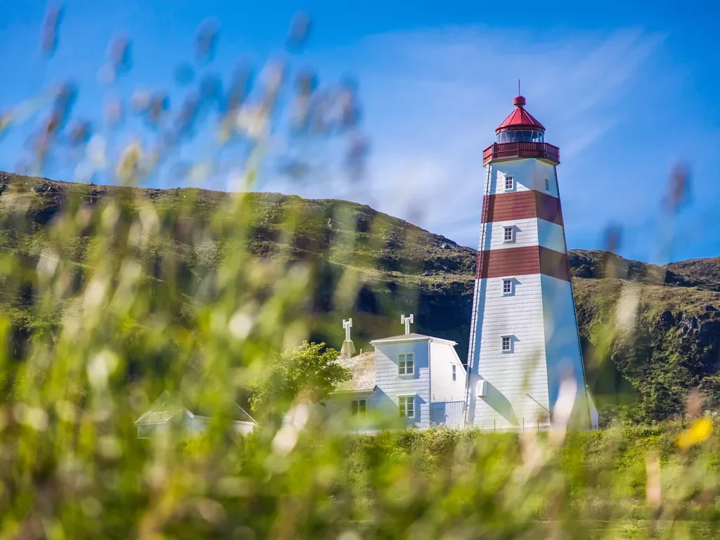 Red and white lighthouse surrounded by a grassy field