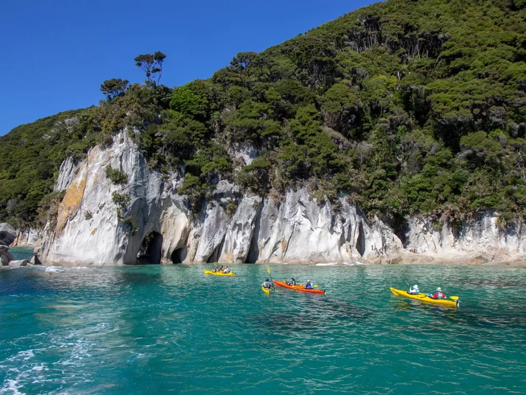 Four kayaks full of people paddling