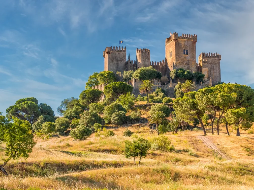 Castle-like buildings on a hill surrounded by large trees