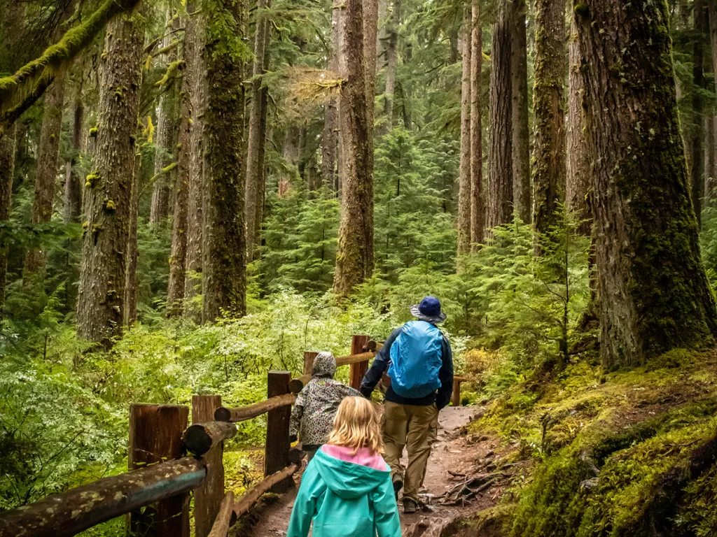 Man and two kids hiking in a forest with tall trees surrounding them