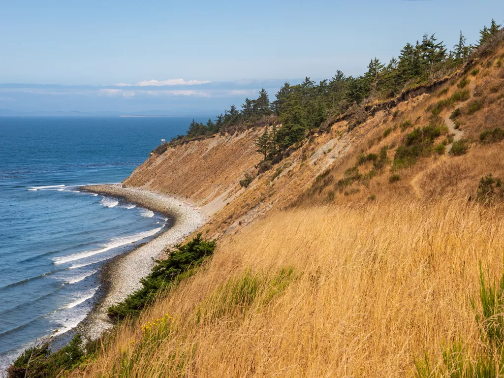 Hill next to a small coast by the ocean, covered in dried weeds