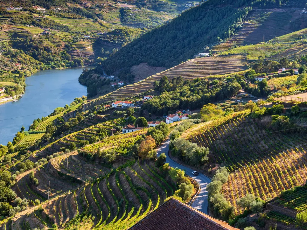 Sky view of an open valley of crop fields and trees, with a lake in the distance