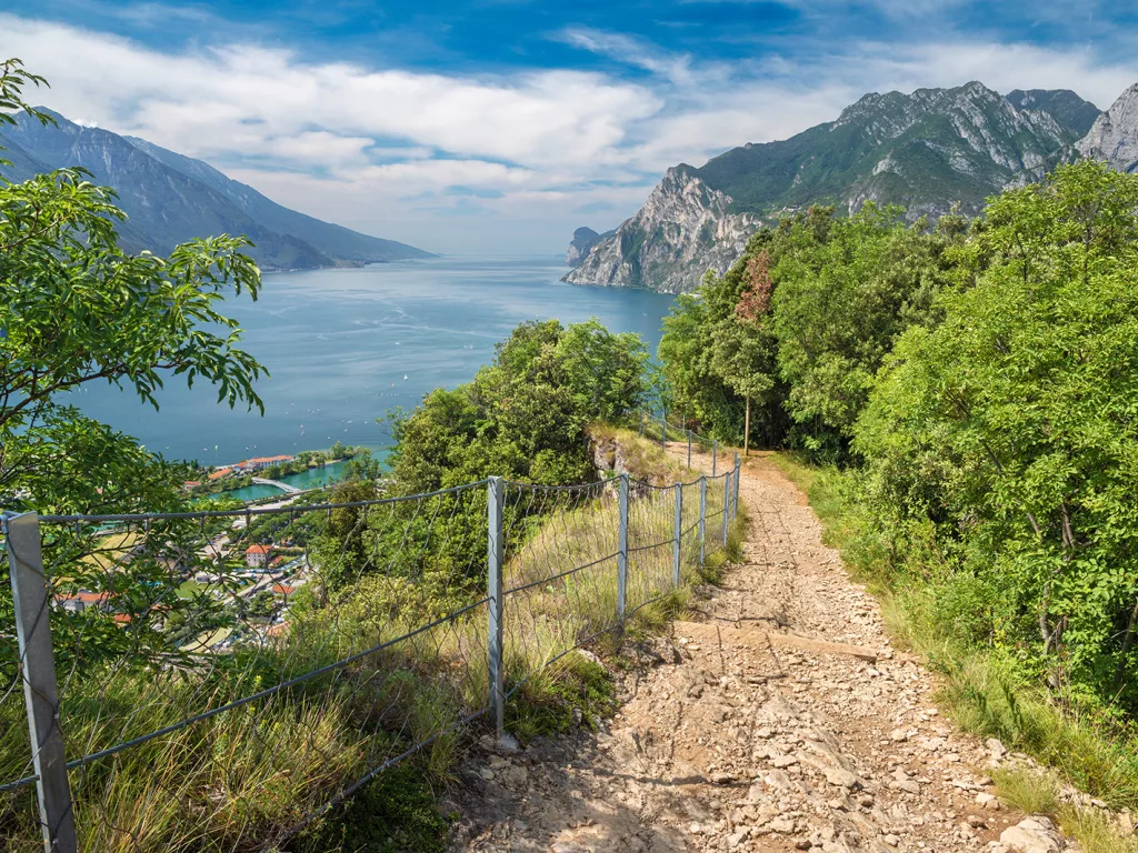 Descending dirt and gravel path surrounded by a fence and bushes