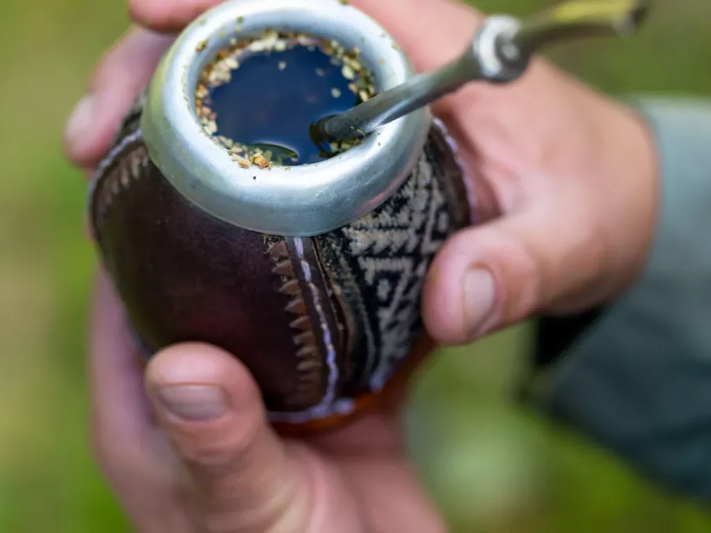 Traditional mate drink, in a small cup with a metal straw sticking out