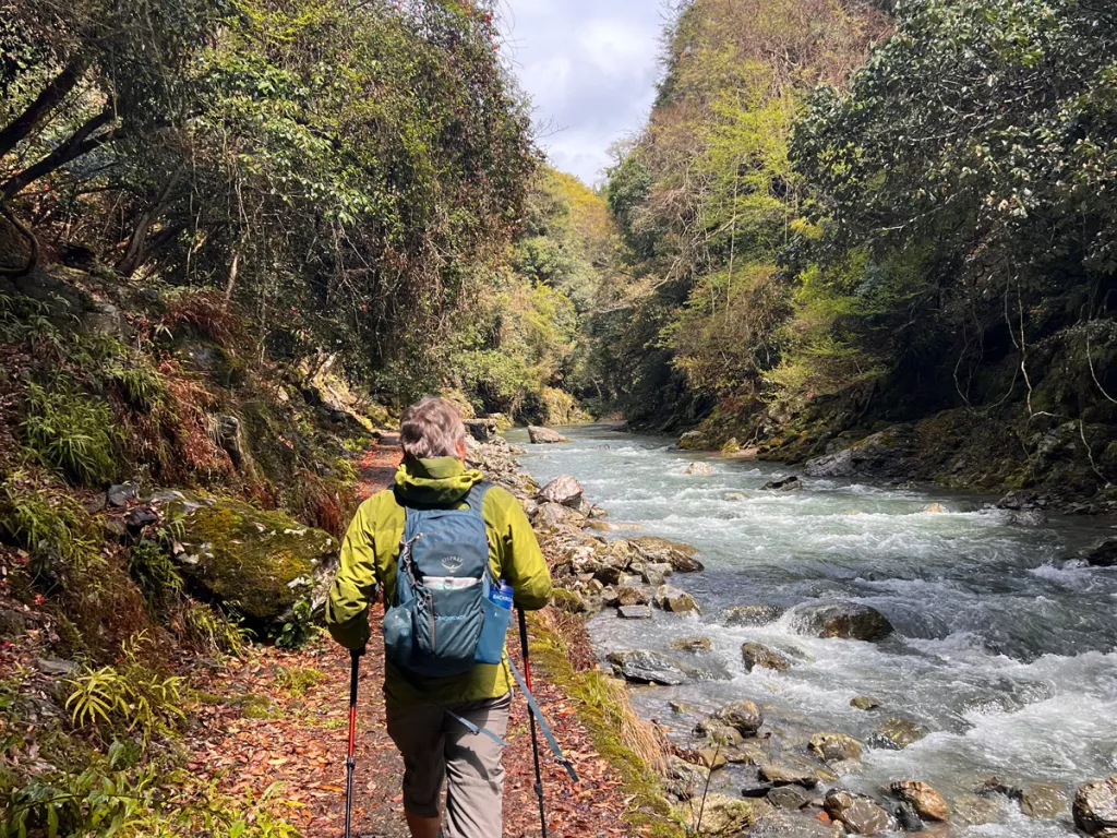 A hiker with poles walking by a river