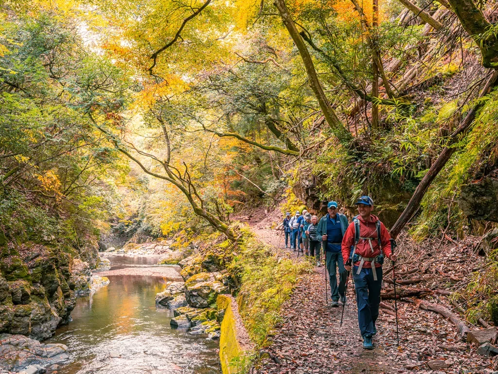 A line of hikers pass by a river