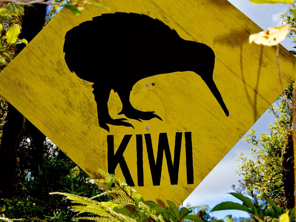 Yellow sign for a kiwi bird