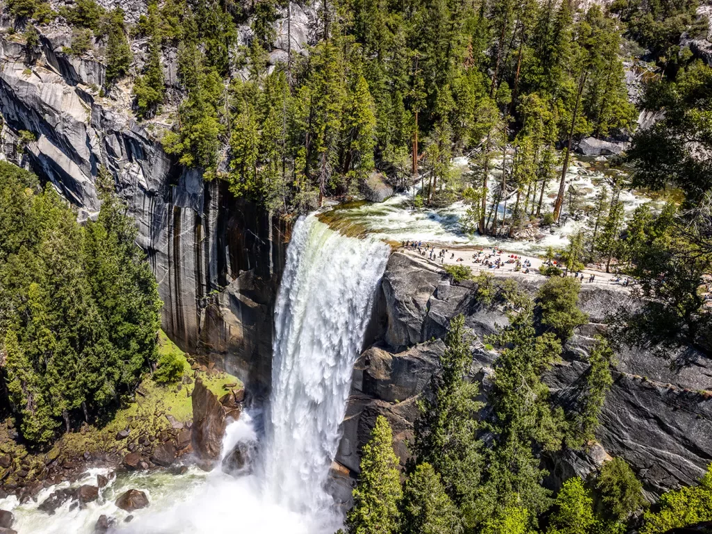 a rushing waterfall surrounded by pine trees