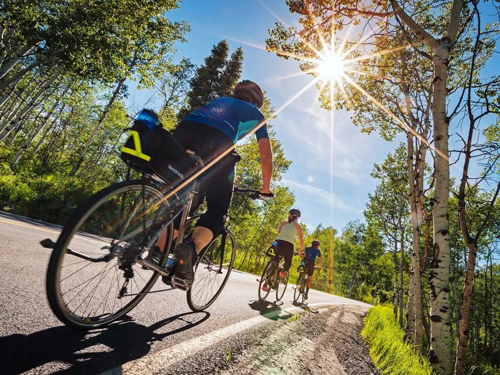 Three women riding bikes on a road surrounded by trees