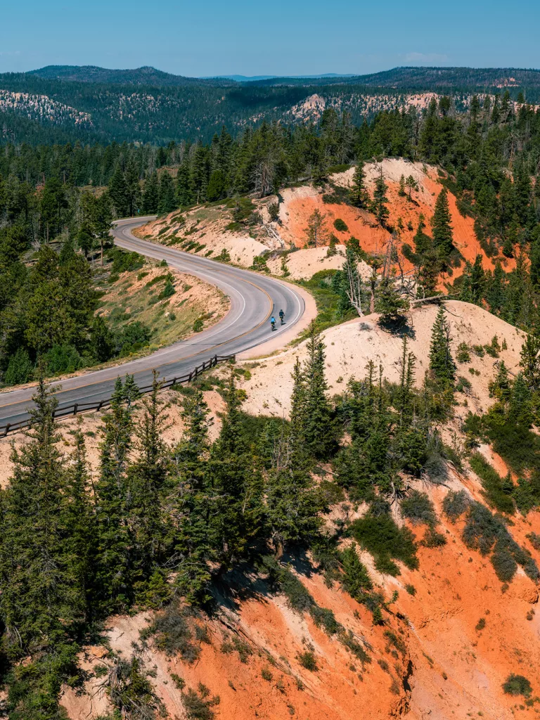 Guests cycling on road, trees, orange sand surrounding them.