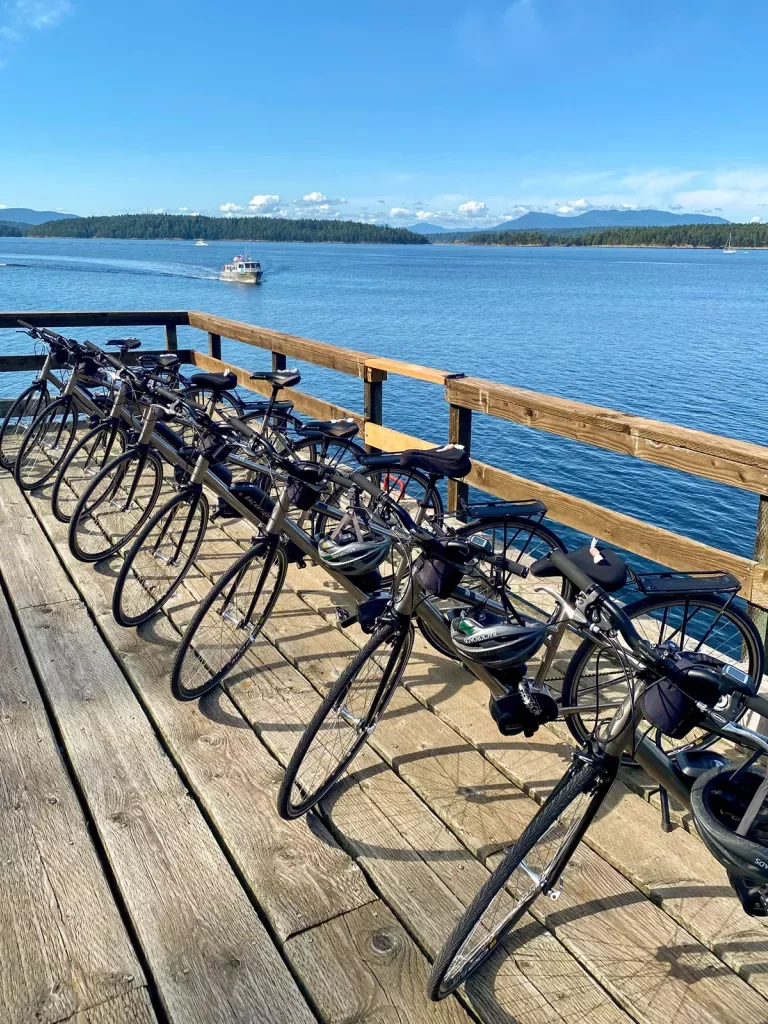 Bikes lined up on a wooden dock by the ocean