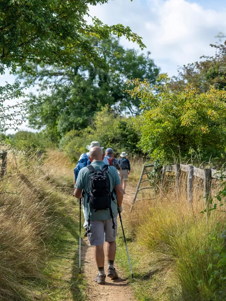 Group of people with walking sticks hiking on a trail