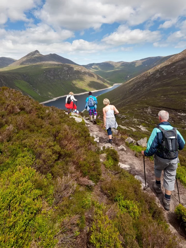 Four hikers with walking poles descending a grassy trail