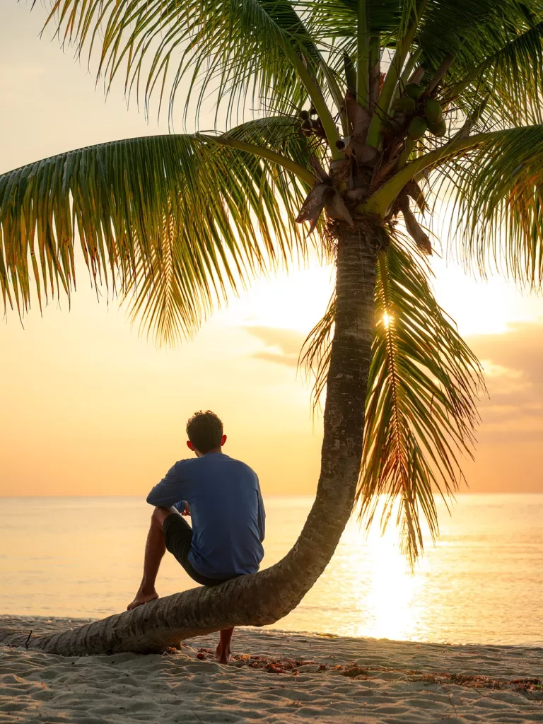 Man sitting on slanted tree looking at the ocean and sunset