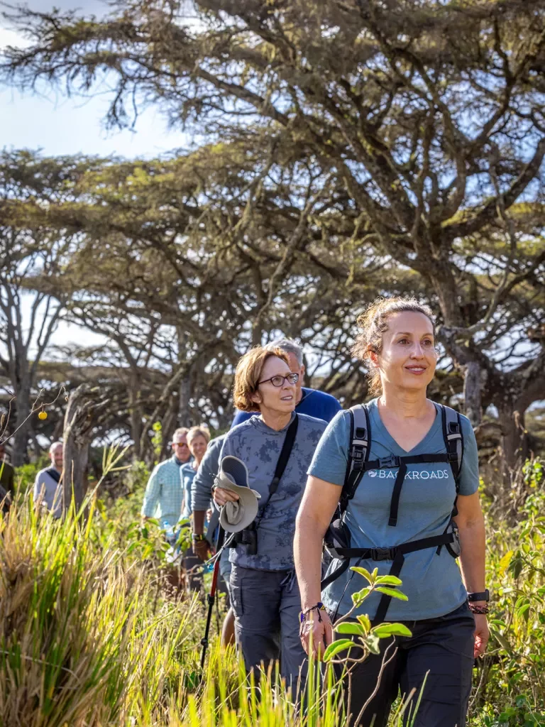 Backroads guests hiking