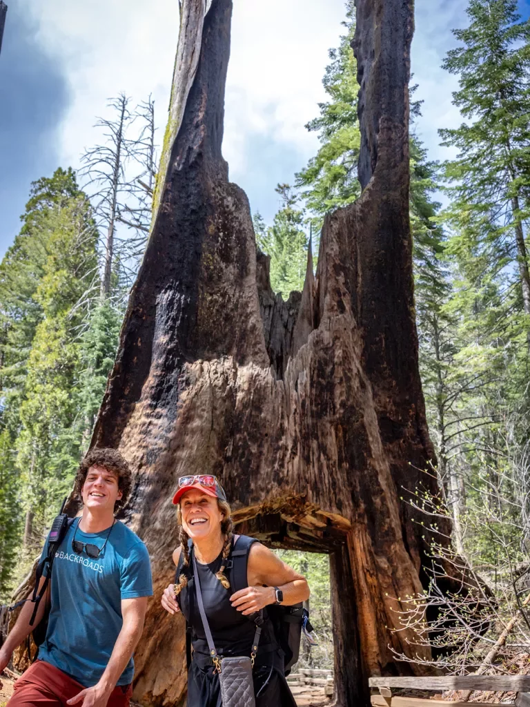 Guests pose with a large tree